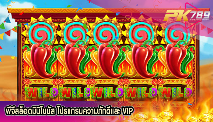 พีจีสล็อตมินิโบนัส โปรแกรมความภักดีและ VIP
